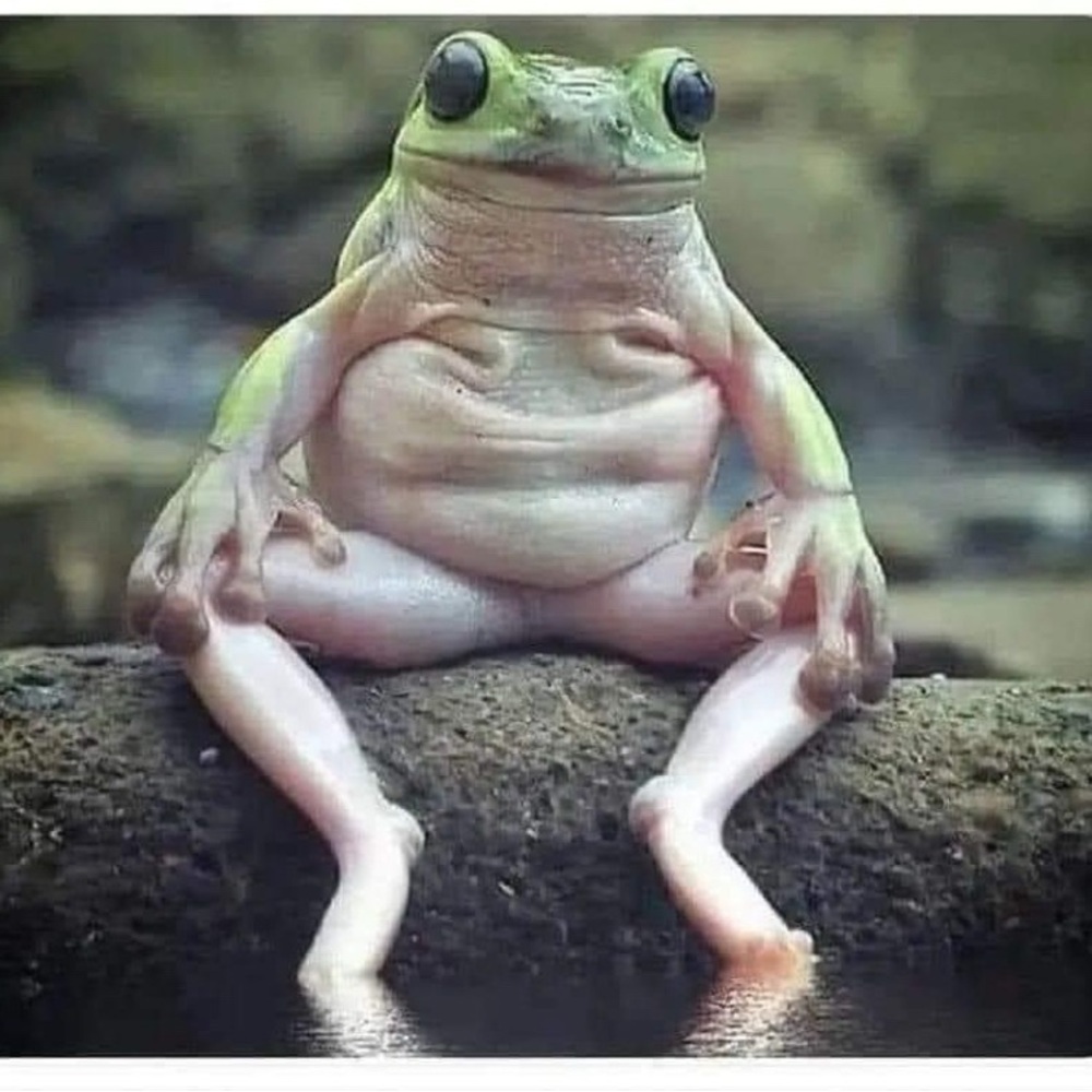 Meet your Posher, Deidre